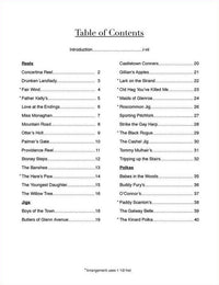 Irish Session Tunes, Volume 2, image 2