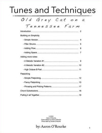 Tunes And Techniques - Old Grey Cat On A Tennessee Farm, image 2