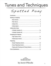 Tunes And Techniques - Spotted Pony, image 2
