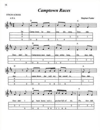 Jamming With The Baritone Dulcimer In The Key Of D, image 6