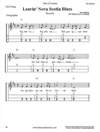 Playing Blues On The Mountain Dulcimer, image 4