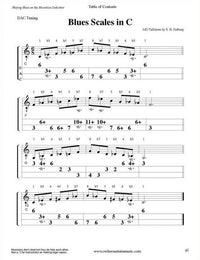 Playing Blues On The Mountain Dulcimer, image 5